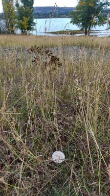 Прикрепленное изображение: i (7).jpg